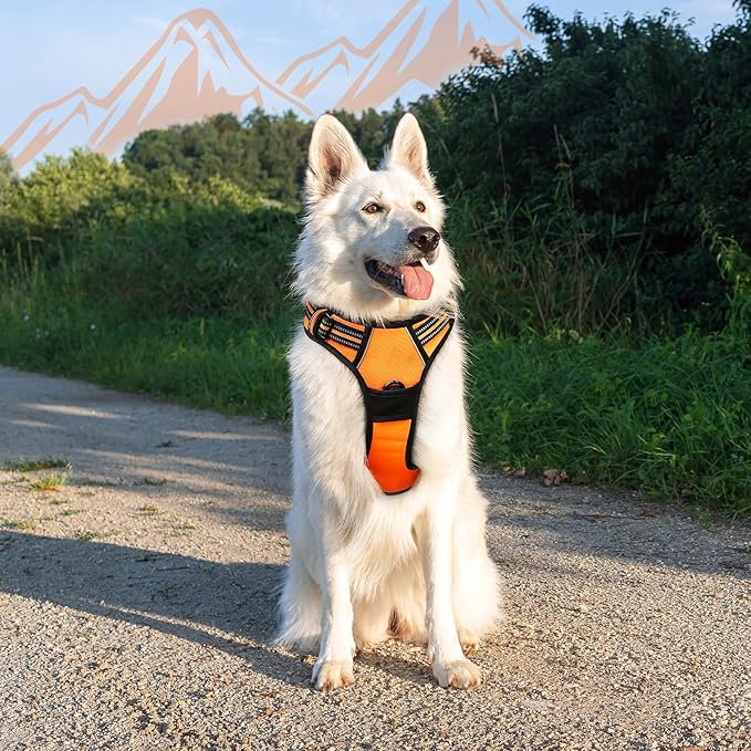 Eagloo Dog Harness for Large Dogs, No Pull Service Vest with Reflective Strips and Control Handle, Adjustable and Comfortable for Walking, No Choke Pet Harness with 2 Metal Rings, Orange, XL-PawvioPets