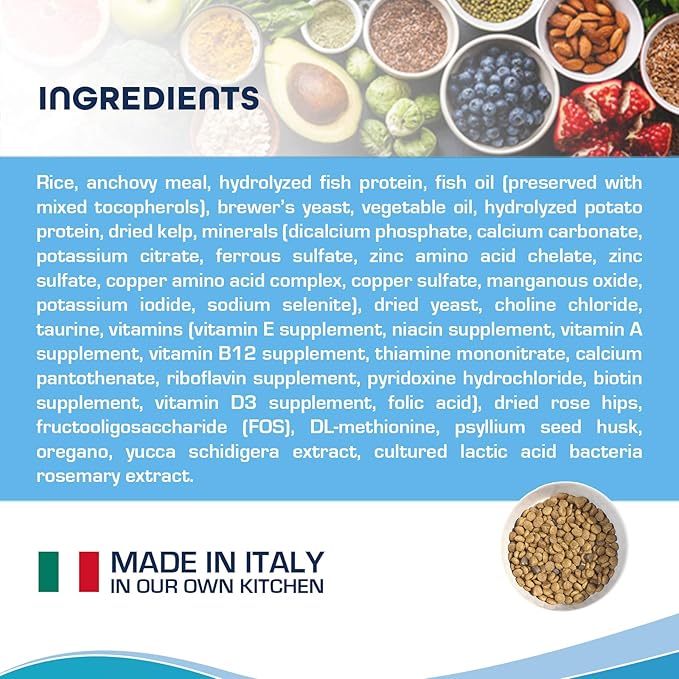 Forza10 Active Intestinal Support Diet Dry Cat Food for Adult Cats, Cat Food Dry for Upset Stomach, Diarrhea and Intestinal Disorders, Wild Caught Anchovy Flavor, 4 Pound Bag-PawvioPets