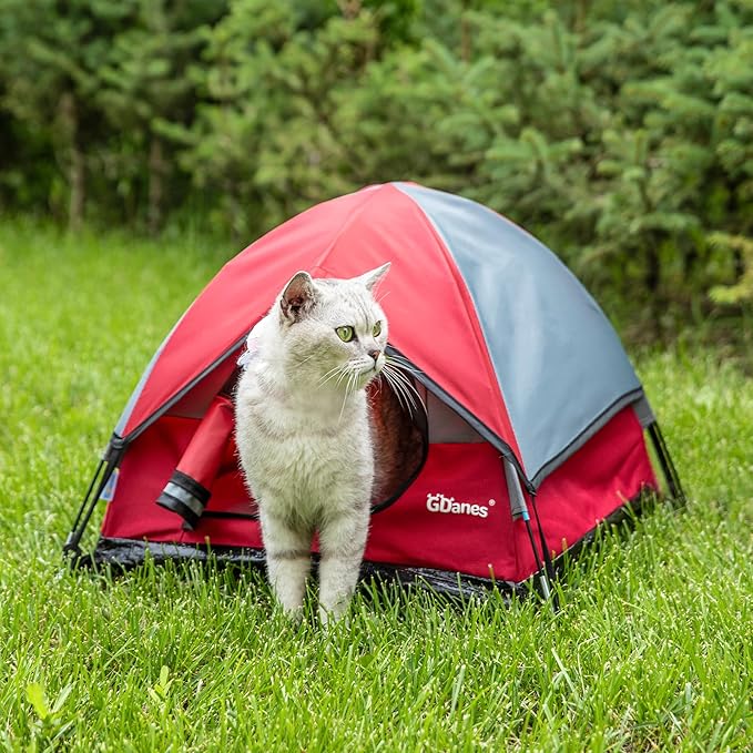 GDanes Cat House Portable Indoor/Outdoor Red Cat Tent for Cats and Small Dogs with Soft Pad-PawvioPets