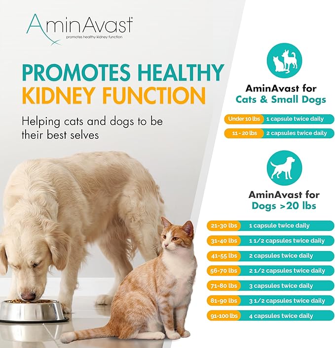 AminAvast Small Dogs & Cat Kidney Support - Promotes Healthy Kidney Support in Cats & Small Dogs - 300mg, 60 Capsule-PawvioPets