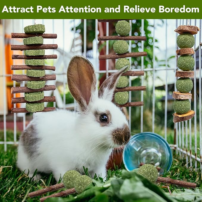 3 Pcs Bunny Chew Toys with 3 Pcs Rabbit Chew Lollipop for Teeth Grinding, Improve Dental Health, Treats for Rabbits Guinea Pigs Chinchillas Bunnies Hamsters-PawvioPets