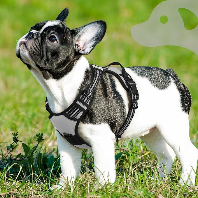 Eagloo Dog Harness Small Sized Dog, No Pull Service Vest with Reflective Strips and Control Handle, Adjustable and Comfortable for Easy Walking, No Choke Pet Harness with 2 Metal Rings, Grey, S-PawvioPets