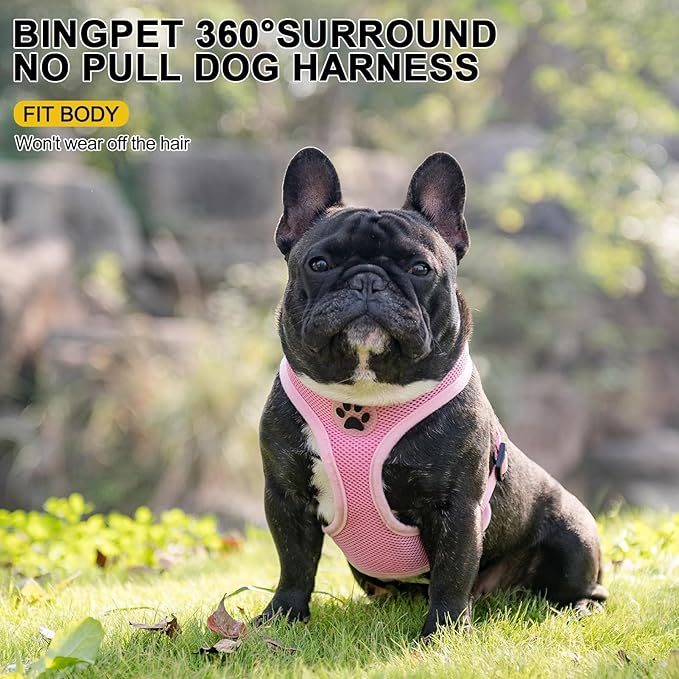 BINGPET No Pull Dog Harness,Soft Mesh Breathable All Weather Vest Harness,Safety Protection Design Durable Adjustable Step-in Easy Walk Dog Harness for Small Medium Large Dogs(LightPink,XL)-PawvioPets