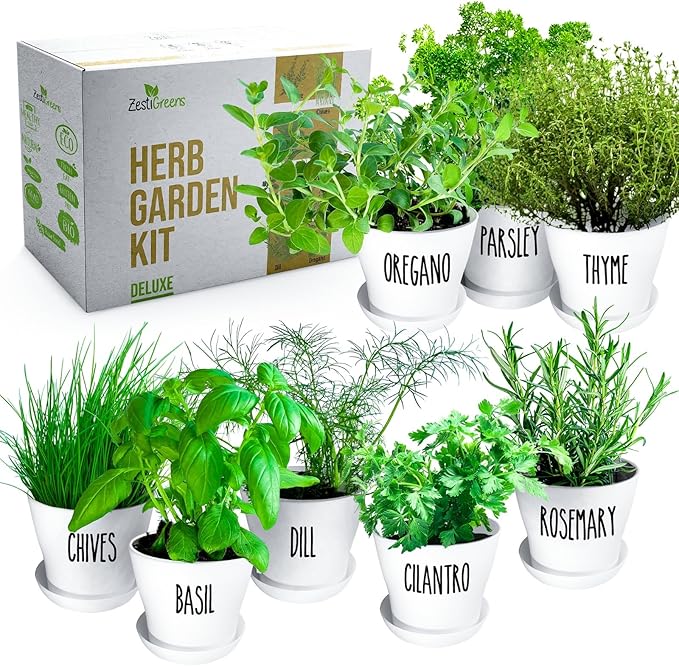 Deluxe Indoor & Outdoor Herb Garden Kit – 8 or The Most Popular Culinary Herbs with Pots & Soil for Windowsill or Patio Growing-PawvioPets