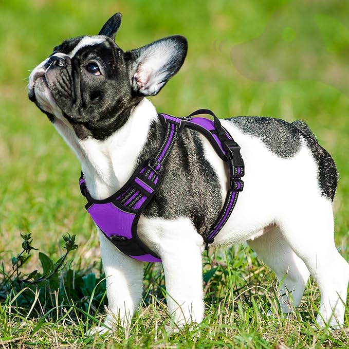 Eagloo Dog Harness Small Sized Dog, No Pull Service Vest with Reflective Strips and Control Handle, Adjustable and Comfortable for Walking, No Choke Pet Harness with 2 Metal Rings, Purple, S-PawvioPets
