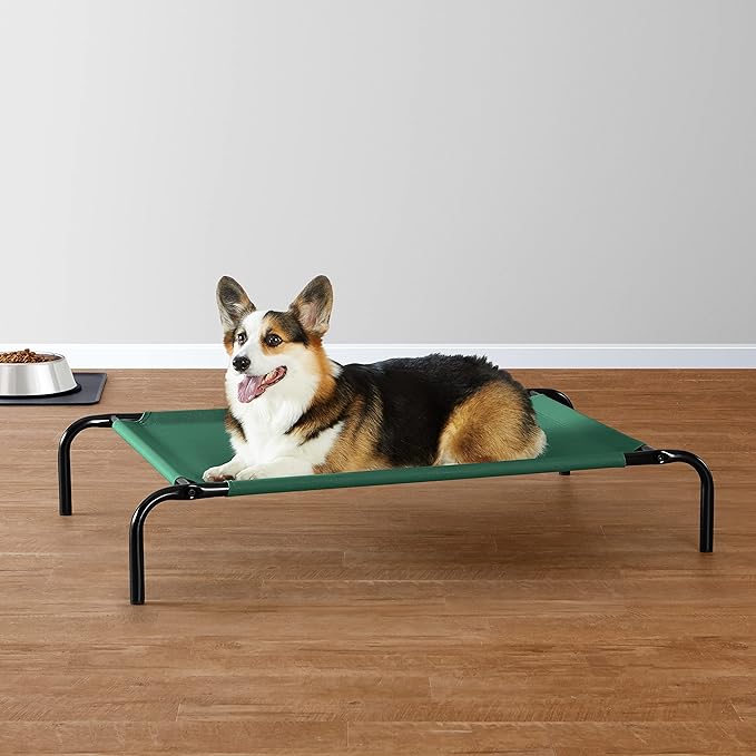 Amazon Basics Cooling Breathable Elevated Dog Bed with Metal Frame for Medium Dogs, 43 x 26 x 7.5 Inch, Green-PawvioPets