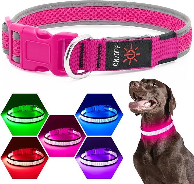Flashseen LED Dog Collar, USB Rechargeable Light Up Dog Collar Lights, Adjustable Comfortable Soft Mesh Safety Pet Collar for Small, Medium, Large Dogs (Large, Candy Pink)-PawvioPets