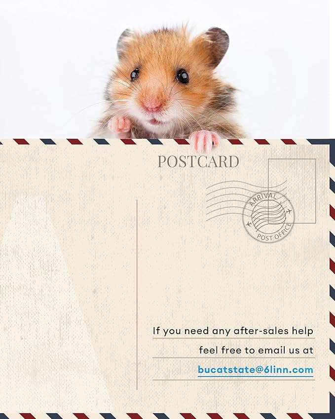 BUCATSTATE Hamster Cage Metal 3.0 - Chewproof Large Rat Cage Stackable with Top Access Easy Assemble 47L x 23.6W x 25.5H Inches Dwarf Syrian Hamster Tank for Gerbil Mouse (7.75 ft², Black)-PawvioPets