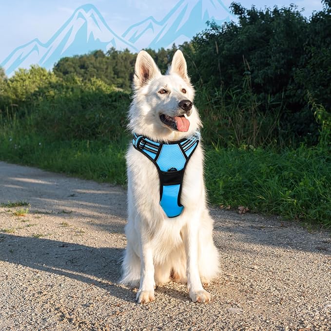 Eagloo Dog Harness Large Breed, No Pull Service Vest with Reflective Strips and Control Handle, Adjustable and Comfortable for Easy Walking, No Choke Pet Harness with 2 Metal Rings, Sky Blue, XL-PawvioPets