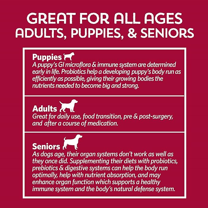 Fidobiotics Good Guts for Lil Mutts Probiotic for Dogs, Billions of CFUs, 11 Strains, 5 Digestive Enzymes, 2 Prebiotics, Digestive Gut Health for Dogs, Adult & Puppy Probiotics Supplements (30 Days)-PawvioPets