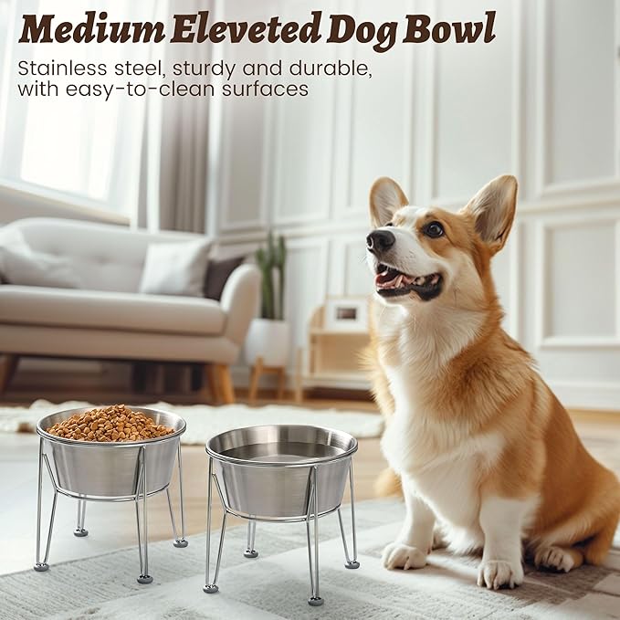 Elevated Dog Bowls for Medium&Small Dogs - Stainless Steel 48oz/6 Cups Raised Feeder with Non-Slip Base, Dual Food & Water Bowls 2-Pack-PawvioPets