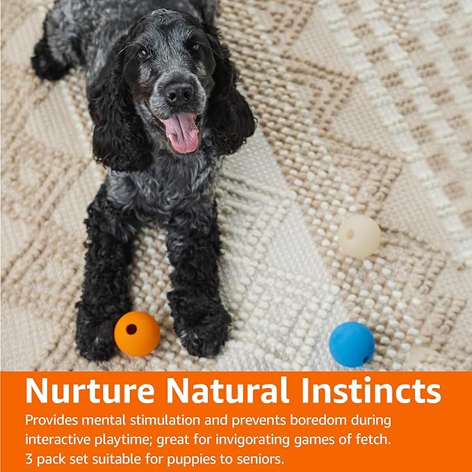 Amazon Basics Dog Toys, Interactive Assorted Rubber Balls, (Pack of 3), 2.5 inch, Blue, Beige, Orange-PawvioPets