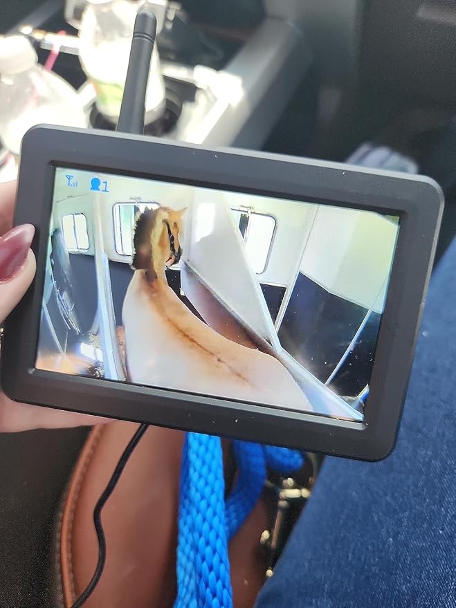 EWAY 2 Magnetic Wireless Backup Cameras HD1080P w/ 5" Split Screen Monitor Portable No Wiring Trailer Hitch IR Night Vision Rear View Camera for Truck Pickup RV Camper 5th Wheel Boat Horse Trailer-PawvioPets