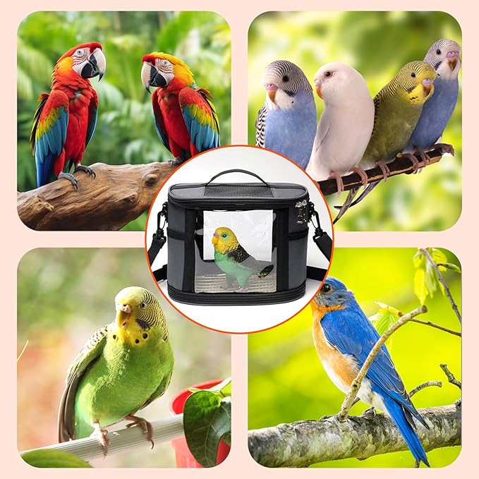 Bird Travel Carrierm, Small Bird Travel Backpack Carrier Cage with Tray and Breathable Clear Window, for Parakeet Cockatiel Budgies, for Camping Hiking (Large-Pink)-PawvioPets