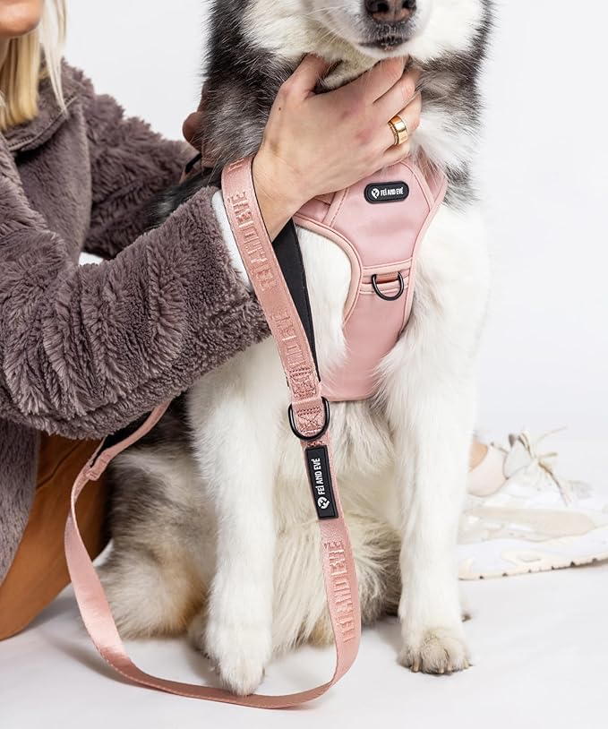 2025 New Edition, Fei & Eve MagEase Dog Harness - 3-Second Magnetic Buckles | 3-Point No-Pull Control | Heavy-Duty 900D Nylon | Dual Safety Handles | Breathable Mesh | Adjustable Fit | Medium, Pink-PawvioPets