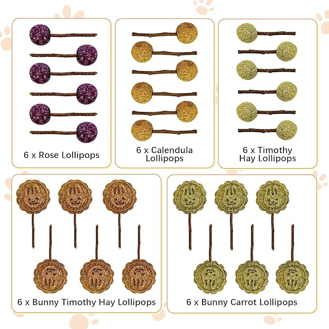 Fhiny Rabbit Chew Toys, 30 PCS Natural Bunny Lollipop Chew Sticks Handmade Guinea Pig Molar Treats for Teeth Small Animals Snacks for Guinea Pig Bunny Chinchilla Hamster Gerbil Teeth Care-PawvioPets