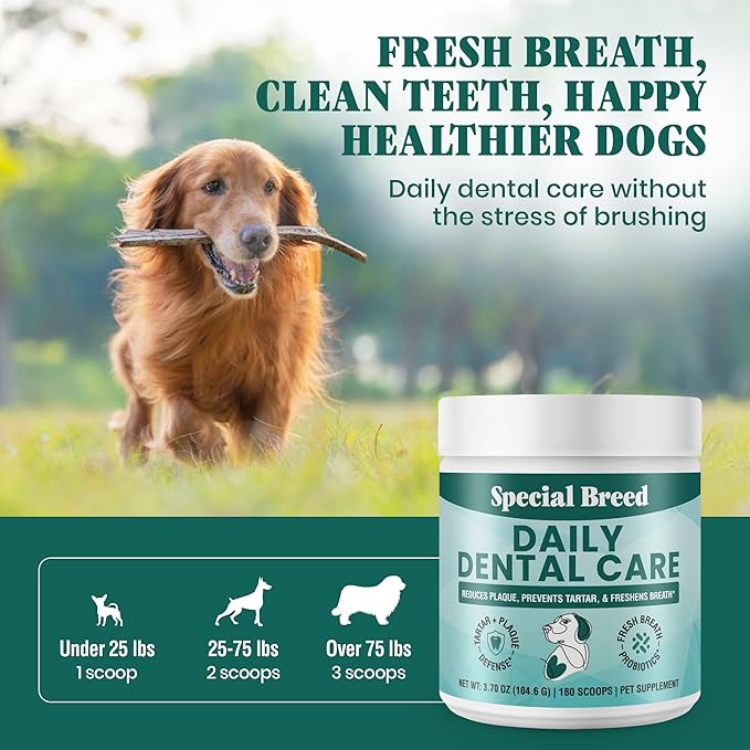Dog Teeth Cleaning Powder – Natural Dog Dental Powder for Tartar Control, Fresh Breath & Gum Health – Daily Plaque Remover with Zeolite, Brown Algae, Probiotics & Rosemary – 180 Scoops-PawvioPets