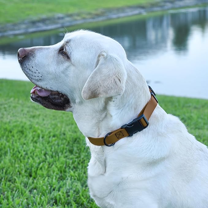 Dogline Biothane Waterproof Dog Collar with Quick Release Buckle Strong Coated Nylon Webbing with Odor- Proof for Easy Care Easy to Clean Fits Small Medium Large Dogs, Coyote Brown 3/4" W 12-19" L-PawvioPets