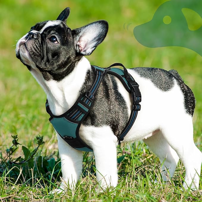Eagloo Dog Harness Small Sized Dog, No Pull Service Vest with Reflective Strips and Control Handle, Adjustable and Comfortable for Easy Walking, No Choke Pet Harness with 2 Metal Rings, Dark Green, S-PawvioPets