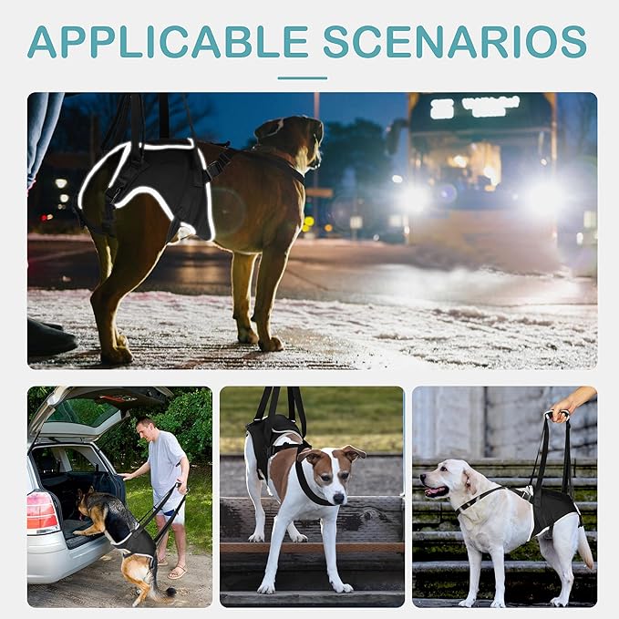 Dog Lift Harness for Small Dogs, Adjustable Rear Leg Support Sling for Hip Dysplasia, Arthritis, Weak Hind Legs, Post-Surgery Recovery, Comfortable & Secure with Sturdy Buckles, S-PawvioPets