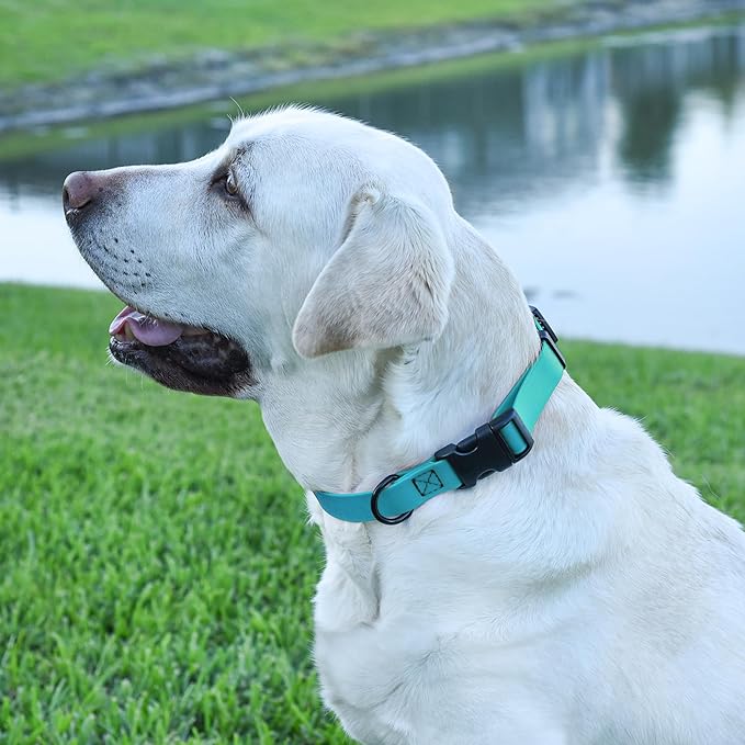 Dogline Biothane Waterproof Dog Collar with Quick Release Buckle Strong Coated Nylon Webbing with Odor- Proof for Easy Care Easy to Clean Fits Small Medium Large Dogs, Cyan Blue 1" W 15-25" L-PawvioPets
