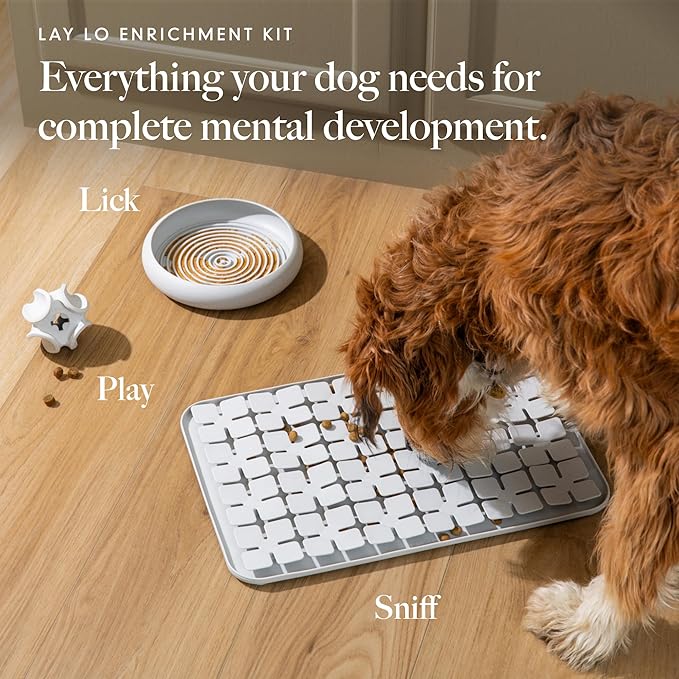 LAY LO Treat Dispensing Dog Toy – Natural Rubber Topple Toy for Chewing, Enrichment & Mental Stimulation | Dog Treat Dispenser Puzzle | Dishwasher Safe | Includes Live Trainer Support-PawvioPets