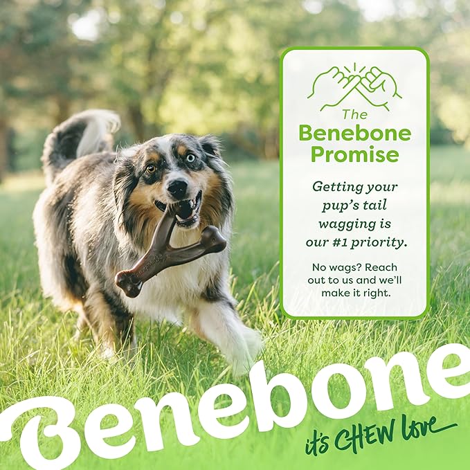 Benebone Peanut Butter Flavored Wishbone Chew Toy-PawvioPets