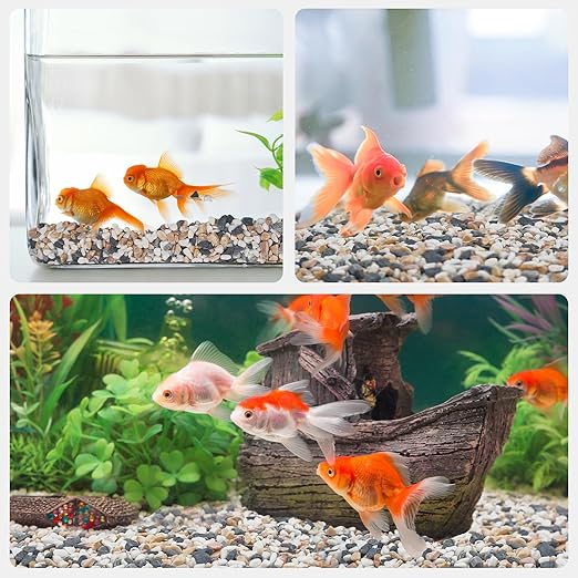 2.5 lbs Small Rocks for Plants, 1/5 Inch Pebbles for Indoor Plants, Natural Decorative Pea Gravel for Aquarium, Fish Tank, Terrarium, Succulents, Bamboo Plants, Vases, Cactus, Crafts-PawvioPets