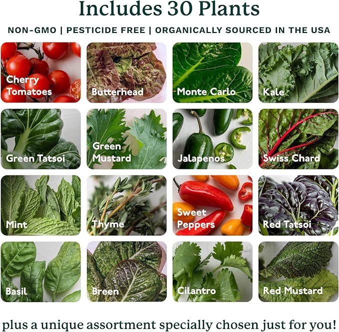 Gardyn 4.0 Hydroponics Growing System Kit & Vertical Garden Planter, 30 Non-GMO Indoor Plants Smart Garden, Herbs, Vegetables & LED Grow Lights for Indoor Gardening System-PawvioPets