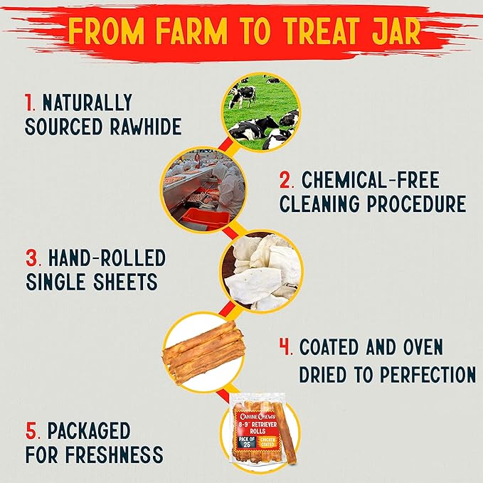Canine Chews 8-9" Chicken Coated Dog Rawhide Retriever Rolls (25 Pack) - Chicken Rawhide Bones for Large Dogs - 100% USA-Sourced Chicken Coated Dog Rawhide Chews - Healthy Dog Dental Chew Rawhides-PawvioPets