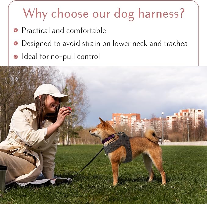 Comfort fit Step-in Dog & Puppy Harness - Comfortable All Weather Dog Vest Harness: Adjustable, Soft Padded, Easy to Put-on for Small, Medium-Sized Dogs.-PawvioPets