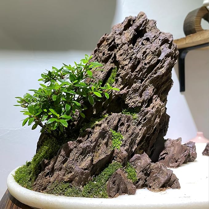 5LB Aquarium Rocks Dragon Stone for Aquariums Landscaping Model Fish Tanks Terrariums Vivariums Model Decoration-2 to 4 Inches-PawvioPets