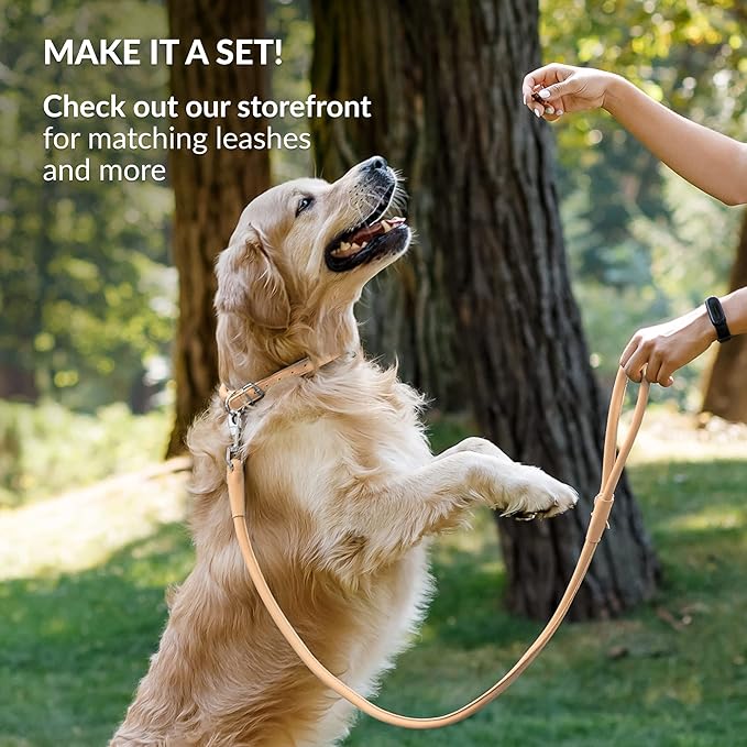 CollarDirect Rolled Leather Dog Collar, Soft Padded Round Puppy Collar, Handmade Genuine Leather Collar Dog Small Large Cat Collars 13 Colors (18-22 Inch, Beige Smooth)-PawvioPets