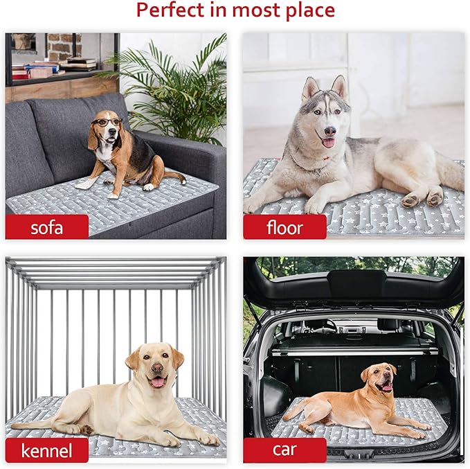 Dog Crate Mat (36" X 23") 2 Pack, Soft Dog Bed Mat with Cute Stars, Personalized Dog Crate Pad, Anti-Slip Bottom, Machine Washable Kennel Pad, Grey-PawvioPets
