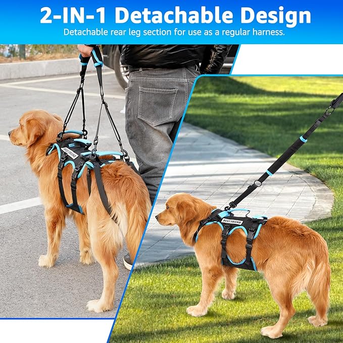 Dog Lift Harness for Medium Male Dogs Friendly, 2 in 1 Detachable Support Harness, Full Body Dog Carrying with 4 Handles for Old/Disabled/Joint Injuries Dogs (Black, Medium)-PawvioPets