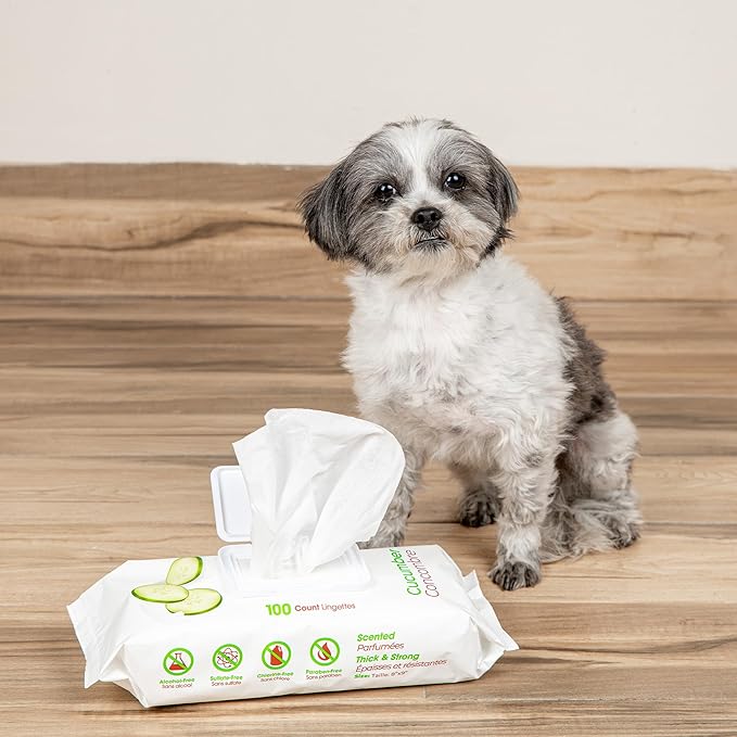 Best Pet Supplies Pet Wipes for Dogs - Dog Wipes Cleaning Deodorizing, for Coats, Ears, Paws – Refreshing, Cucumber 100 Count-PawvioPets