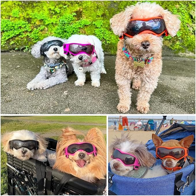 Dog Goggles Dog Sunglasses for Small Breed UV Protection Windproof with Adjustable Head Straps Chin Straps for Ride Car/Hiking Travel/On Beach-Black-PawvioPets