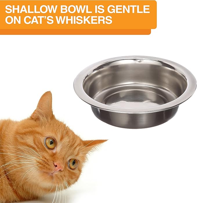 Neater Feeder Deluxe Mess Proof Cat Bowls Elevated for All Breeds – Made in USA – No Spill Raised Bowls for Indoor Cats – Stainless Steel Food and Water Bowl Set, Pet Dish Feeding Station, Aquamarine-PawvioPets