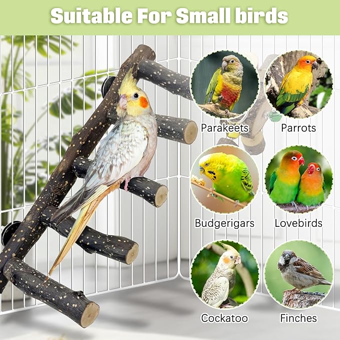 BNOSDM Natural Wood Bird Ladder Perch with Rotating Bell Toys-Exercise Stands for Parrot Climbing Chewing Parakeet Bridge Cage Accessories for Cockatiel, Conures, Lovebirds, Budgie-PawvioPets