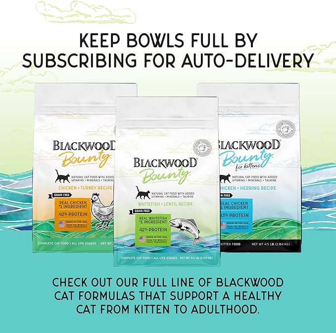 Blackwood Bounty Dry Cat Food, Whitefish & Lentil Recipe for All Life Stages, 4.5 Pound Bag, High Protein, Grain Free-PawvioPets