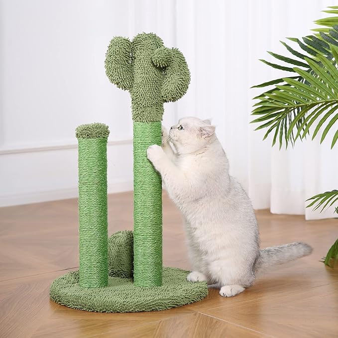 Amazon Basics Cat Scratcher - Indoor Cactus Triple Posts Cat & Kittens Scratching Post with Dangling Ball, Large (27"H) - Green-PawvioPets