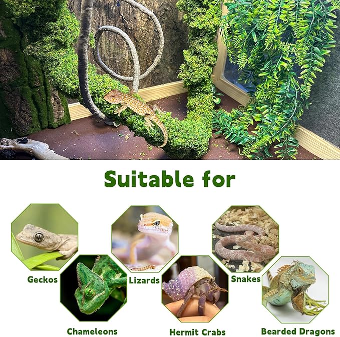 BNOSDM Reptile Plants,Flexible Rainforest Vines with Moss,Bendable Jungle Climbing Vines,Terrarium Artificial Plants Decor for Bearded Dragon,Hermit Crab,Snake,Geckos,Chameleon,Lizard-PawvioPets