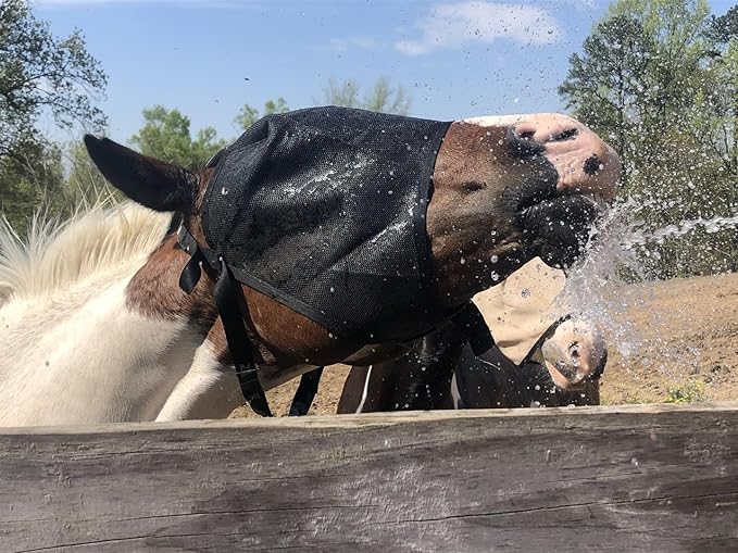 EquiVizor 95% UV Eye Protection (Mini) Standard Horse Fly Mask - Help with Uveitis, Corneal Ulcer, Light Sensitivity. Designed to Stay On Your Horse, Off The Ground.-PawvioPets