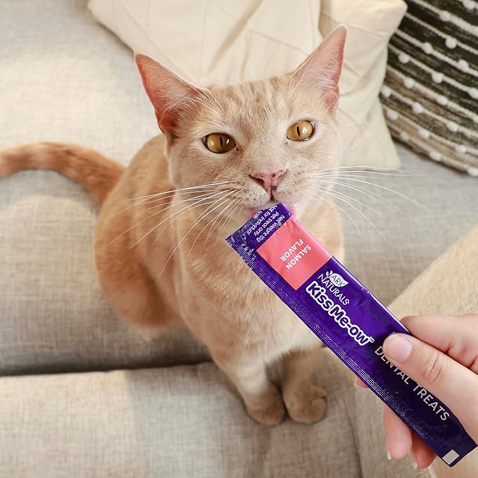 Ark Naturals, Kiss Me-Ow Lickable Salmon, 2 oz-PawvioPets