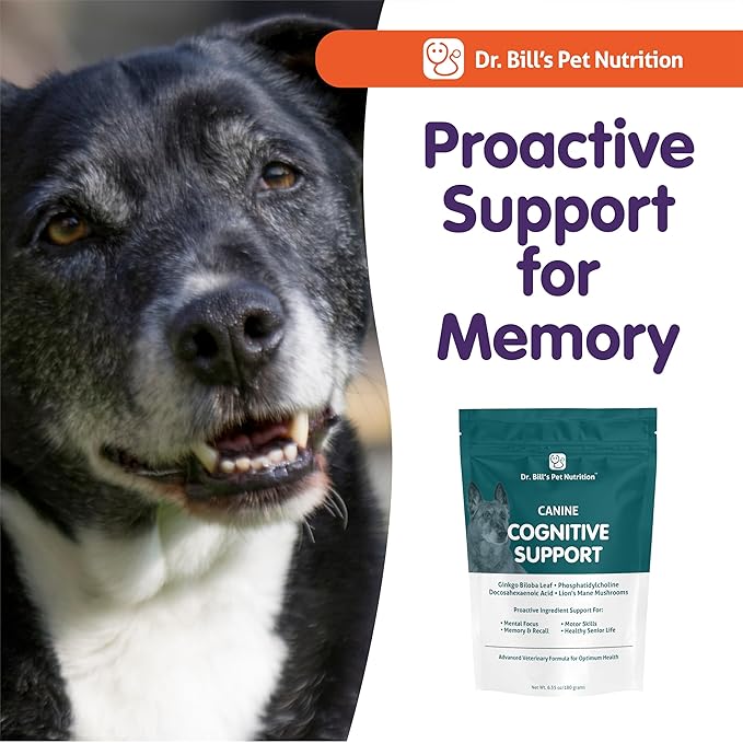 Dr. Bill’s Canine Cognitive Support | Memory Support Supplement Multivitamin for Dogs | Contains Gingko Biloba, L-Carnosine, Vitamin B-12, L-Glutamine, L-Tyrosine, and DHA for Adult and Senior Dog-PawvioPets