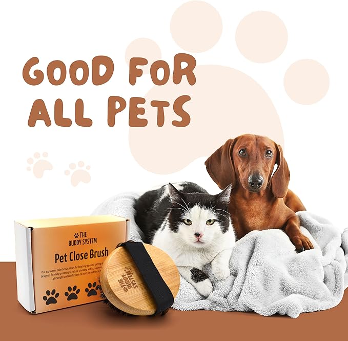 The Buddy System Pet Close Brush, Soft Touch Oval Palm Brush - Bamboo Massage Handheld with Soft Boar Bristles and Elastic Band for Dogs and Cats-PawvioPets