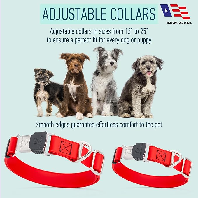 Dogline Biothane Waterproof Dog Collar with Herm Sprenger Black Stainless Steel Quick Release Buckle – Heavy Duty Tactical Durable Collar for Dogs – Comfortable and Safe Pet Collar W 3/4" L 12-19" Red-PawvioPets