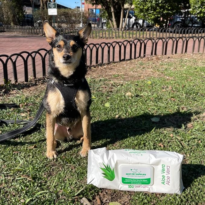 Best Pet Supplies Pet Wipes for Dogs - Dog Wipes Cleaning Deodorizing, for Coats, Ears, Paws - Hydrating, Aloe Vera, 400 Count.-PawvioPets