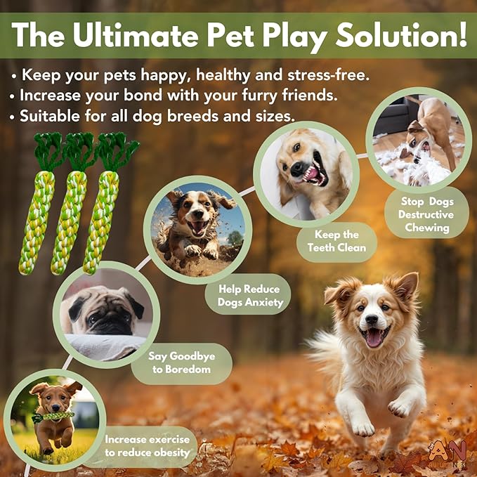 3PCS Rainbow Woven Pet Chew Set, Colorful Puppy Teething Chews, Dog Chew Toys, Cat Teething Playset, Soft & Safe Interactive Pet Chews-PawvioPets