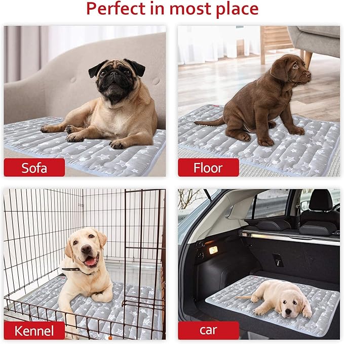 Dog Crate Mat (24" X 18"), Soft Dog Bed Mat with Cute Prints, Personalized Crate Pad, Anti-Slip Bottom, Machine Washable Kennel Pad-PawvioPets